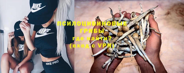 прущие крисы Анива