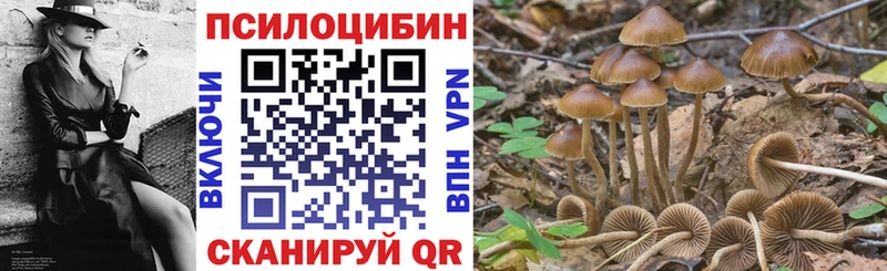 купить наркотики сайты  Дзержинск  Галлюциногенные грибы GOLDEN TEACHER 