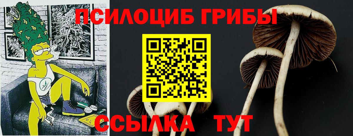 Дзержинск  Псилоцибиновые грибы ЛСД  Вход с VPN 