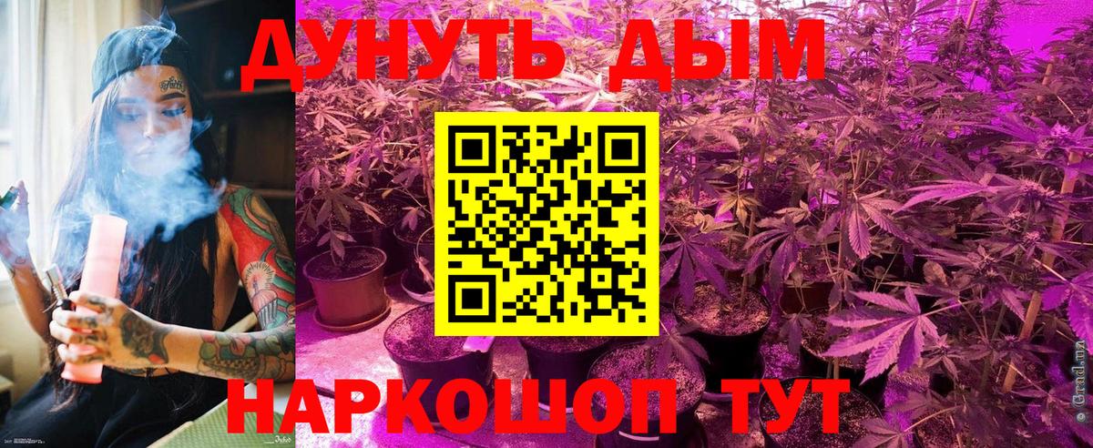 Конопля индика  Бошки марихуана сатива  Дзержинск 